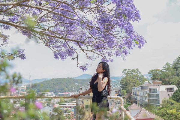 Du lịch Lâm Đồng cần chuyển từ tăng số lượng qua chất lượng
