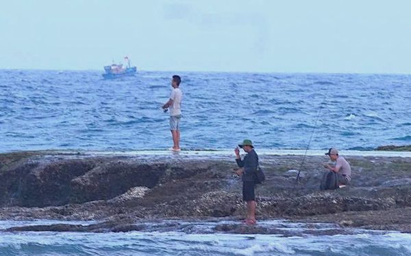 Du lịch tự phát gây tổn hại những cụm san hô ở bờ biển Mỹ Tân, Mỹ Hiệp