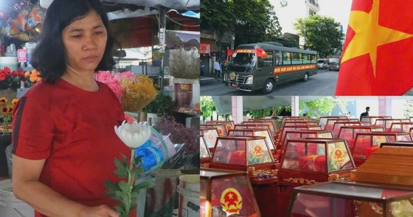 Đưa 731 hài cốt liệt sĩ về Nghĩa trang liệt sĩ TP.HCM: 'Tôi sẽ cầm nhành hoa trắng tiễn các anh'