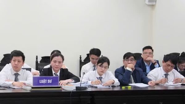 Đưa chế định luật sư công vào cuộc sống