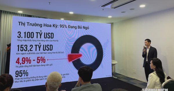 Đưa hàng Việt vào Mỹ, Trung Quốc qua sàn thương mại điện tử