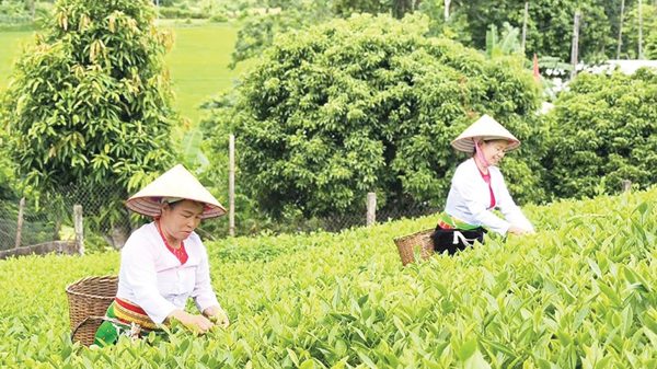 Đưa nguồn lực chính sách đến đúng địa chỉ