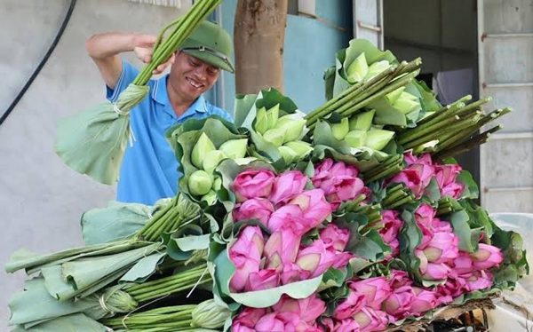 Đưa nông sản Hà Nội tiếp cận thị trường cao cấp nhờ chế biến sâu và số hóa