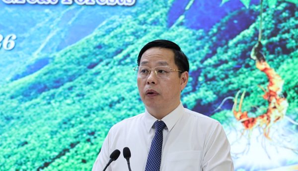 Đưa sâm Lai Châu thành sản phẩm quốc gia