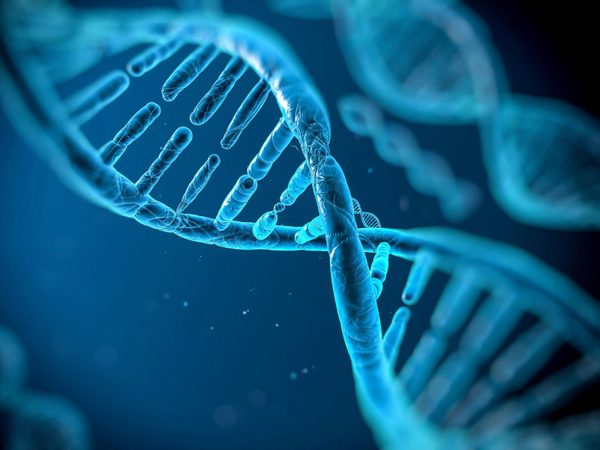 Đức lần đầu điều trị thành công cho bệnh nhân bằng thuốc chỉnh sửa gene