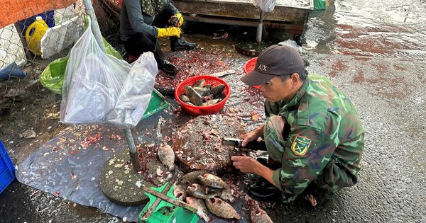 Đừng buông lỏng chợ tự phát