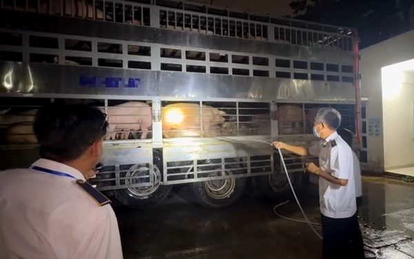 Dùng Salbutamol tạo nạc cho heo, bạn đọc kiến nghị kiểm soát chặt chất cấm