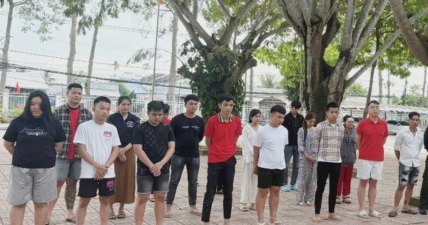 Đường dây lừa đảo vàng ảo chiếm đoạt 26,5 tỉ đồng: 24 bị can sa lưới