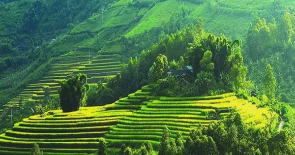 Ecopark Hải Dương và tỷ phú “ăn chay” Xuân Trường nhắm tới “viên ngọc xanh” của núi rừng Tây Bắc