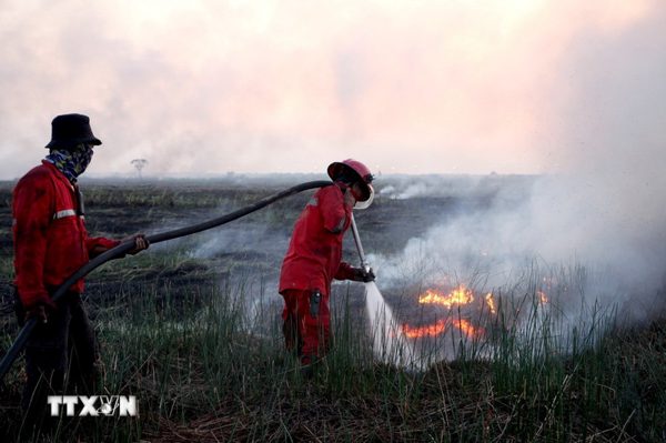 El Nino có thể gây thêm gần 39.000 ca tử vong tại Đông Nam Á