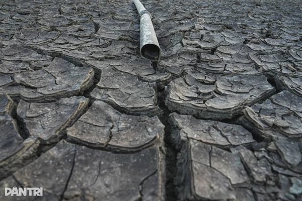 El Niño cực mạnh có thể gây thêm 451.000 ca tử vong do nắng nóng