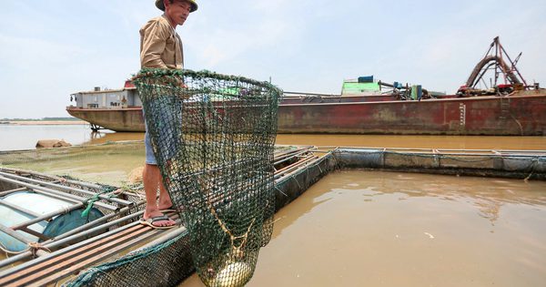 El Nino cường độ rất mạnh, 29 triệu dân hạ du thiếu nước