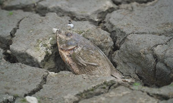 El Nino đạt cường độ rất mạnh