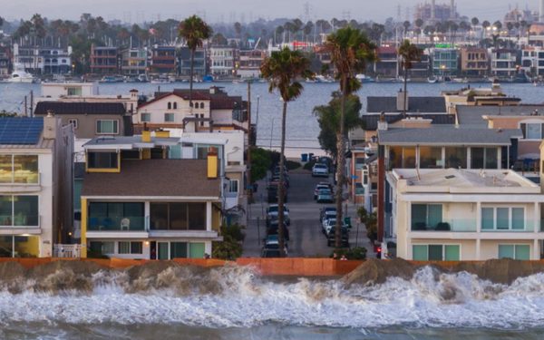 El Nino đưa rắn biển độc, cá nhiệt đới đến bờ biển California