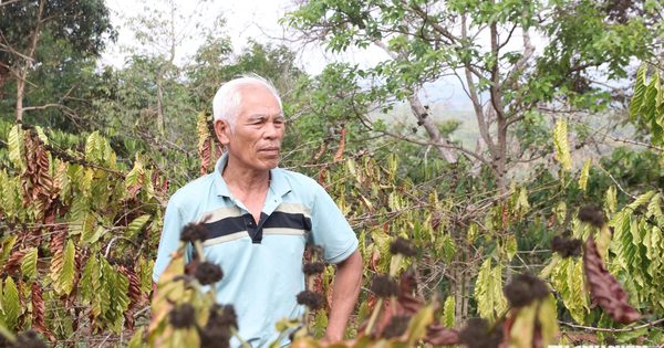 El Nino gây nắng nóng kỷ lục, Trung bộ và Nam bộ đối diện hạn hán nặng