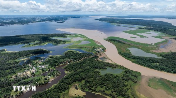 El Nino và Đại Tây Dương ấm lên có thể cảnh báo sớm nắng nóng tại Amazon