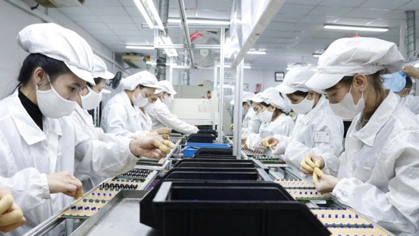 ESG và hành trình Go Global: Xây dựng uy tín để doanh nghiệp Việt “được lựa chọn”