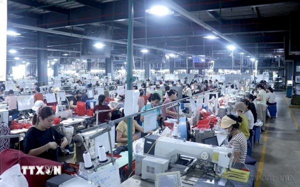 EU nâng chuẩn xuất khẩu, doanh nghiệp Việt cần chủ động thích ứng