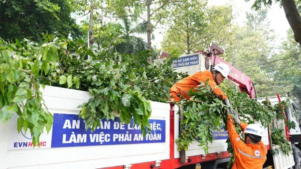 EVNHCMC chủ động các giải pháp đảm bảo an toàn điện vùng ven biển mùa mưa bão