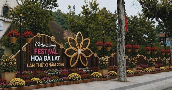 Festival Hoa 2026: Phường Xuân Hương - Đà Lạt vận động nhà nhà trồng hoa