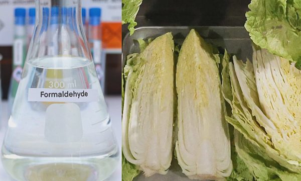 Formaldehyde trong rau cải thảo tàn phá cơ thể ra sao?