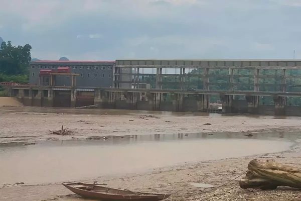 Gần 10 tấn cá lồng chết sau sự cố ở nhà máy thủy điện