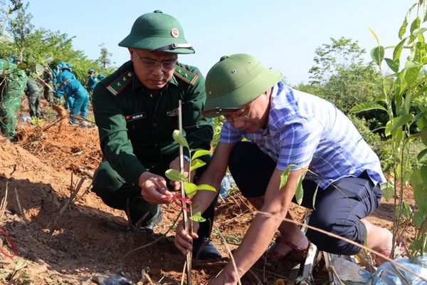 Gần 300 người tham gia trồng cây, phủ xanh rừng phòng hộ