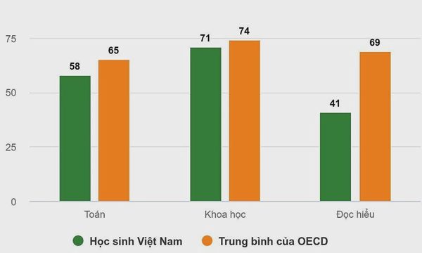 Gần 60% học sinh Việt chưa đạt mức đọc hiểu cơ bản