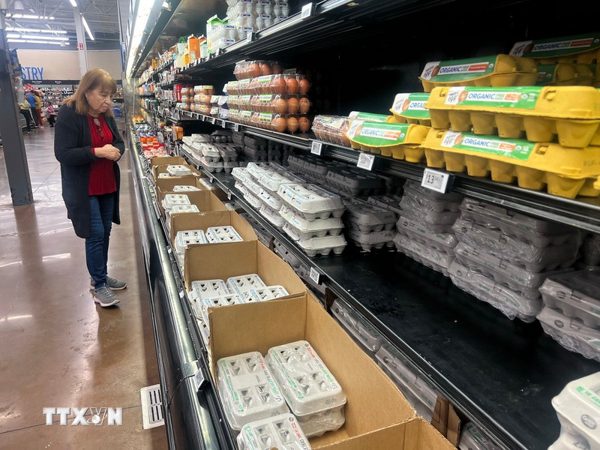 Gần 60% mẫu trứng được kiểm tra tại Pháp chứa chất ô nhiễm vĩnh cửu