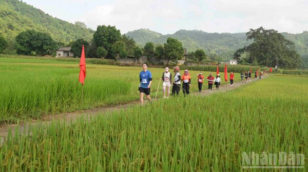 Gần 700 vận động viên tranh tài tại giải leo núi Cốc San “sắc vàng mùa thu 2026”