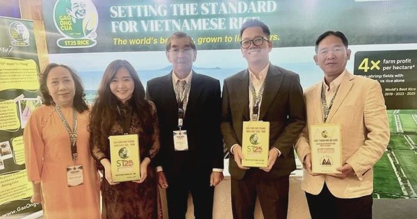 Gạo Ông Cua ST25 giành ngôi á quân cuộc thi Gạo ngon nhất thế giới 2026