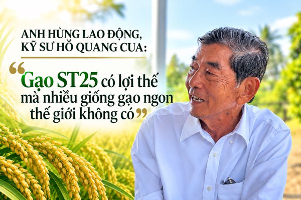 “Gạo ST25 có lợi thế mà nhiều giống gạo ngon thế giới không có”