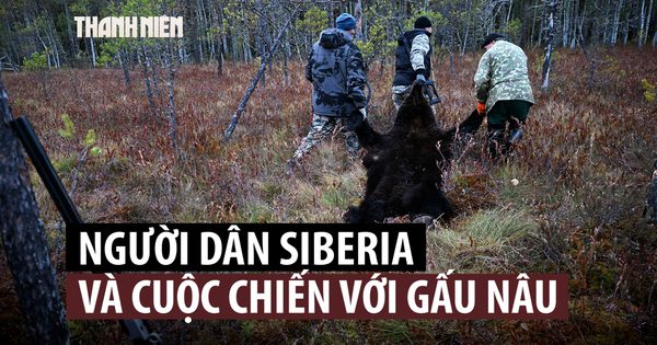 Gấu 'lộng hành', thợ săn Siberia quyết định hành động