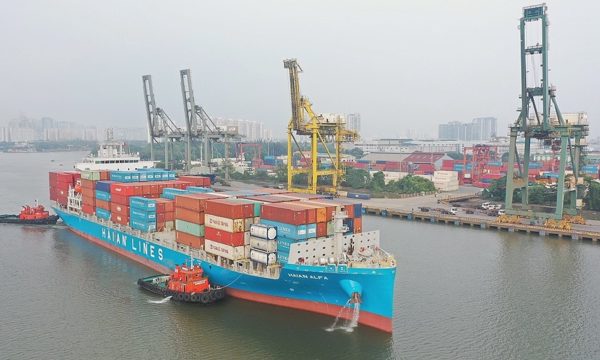 Gelex thoái toàn bộ vốn khỏi 'ông lớn' ngành tàu biển