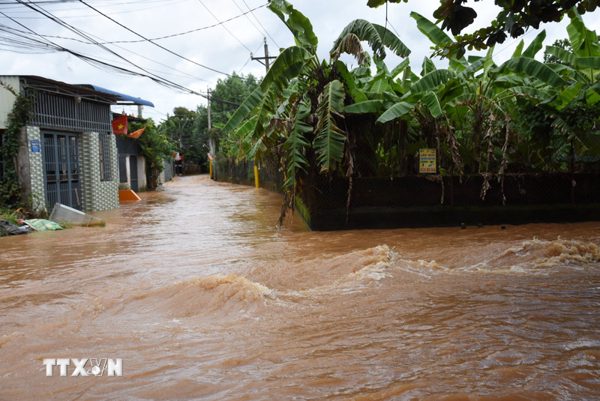 Ghi nhận thêm nhiều thiệt hại do thiên tai tại Đồng Nai