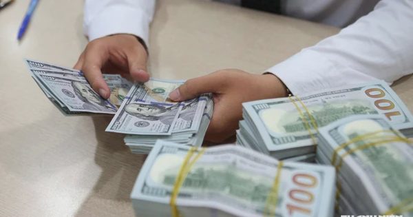 Giá USD hôm nay 22.8.2026: Ngân hàng tăng nhẹ