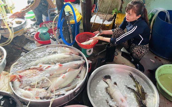 Giá cả đầu ngày: Cá đồng, chuột đồng miền Tây giá cao giữa mùa nước nổi