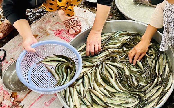 Giá cả đầu ngày: Cá linh giảm sâu, cá chạch 200.000 đồng/kg, rau củ vẫn neo cao
