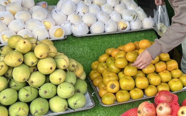 Giá cả đầu ngày: Cua biển xuống giá, người TP.HCM tranh thủ mua tận vựa; Hồng Đà Lạt về miền Tây giá từ 40.000 đồng/kg