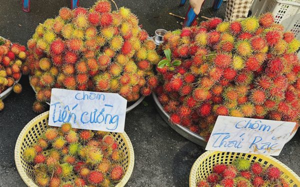 Giá cả đầu ngày: Cuối vụ, mận An Phước, chôm chôm Tiến Cường được giá