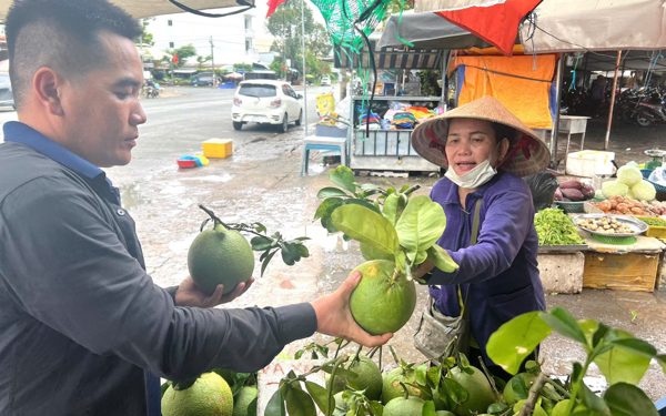 Giá cả đầu ngày: Giá bưởi rớt, heo nhập gây áp lực người chăn nuôi; bán lẻ chuyển sang trải nghiệm