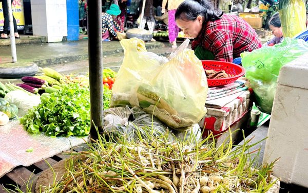 Giá cả đầu ngày: Giá củ kiệu miền Tây tăng gấp đôi, heo hơi chạm đáy nhiều tháng