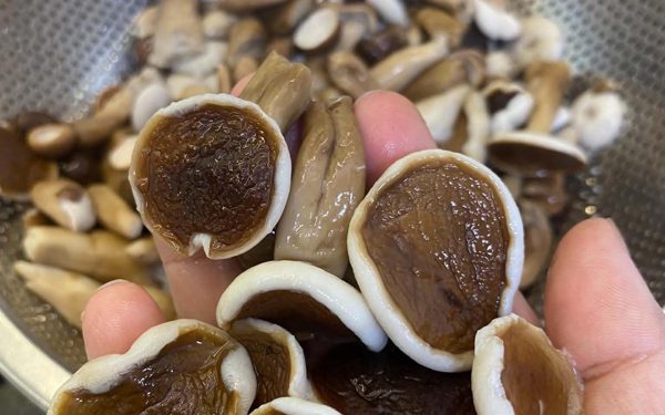 Giá cả đầu ngày: Nấm tràm cuối mùa 75.000 đồng/kg, cam còn 10.000 đồng/kg, nho thân gỗ hết giá bạc triệu