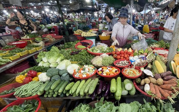 Giá cả đầu ngày: Rau Đà Lạt tăng trở lại, người bán rau ở chợ Đà Nẵng 'xin đừng hỏi giá mà mất ‘mì xưa’