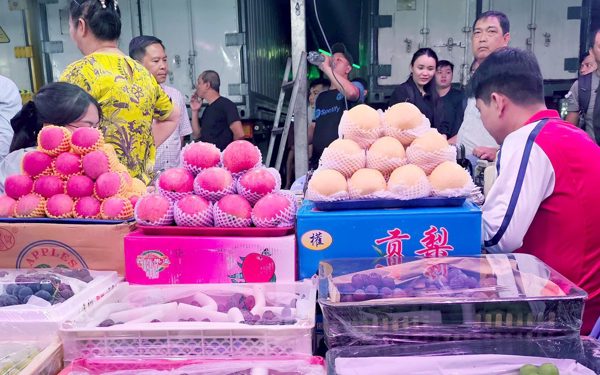 Giá cả đầu ngày: Rau Trung Quốc giá rẻ đổ về, nông dân miền Tây lo rau màu rớt giá