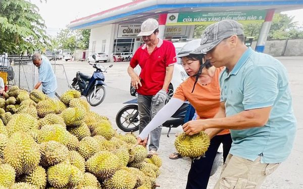 Giá cả đầu ngày: Sầu riêng hạ giá, gạo huyết rồng ổn định, hàng nhãn riêng giảm đến 42%