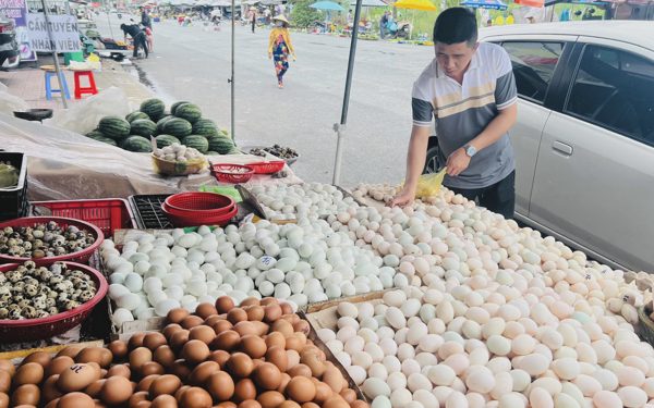 Giá cả đầu ngày: Trứng giảm, gà vịt quê lên mạng, xoài hữu cơ bán được giá