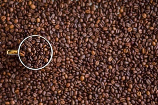 Giá cà phê hôm nay 14/9: Thế giới ổn định, trong nước giảm
