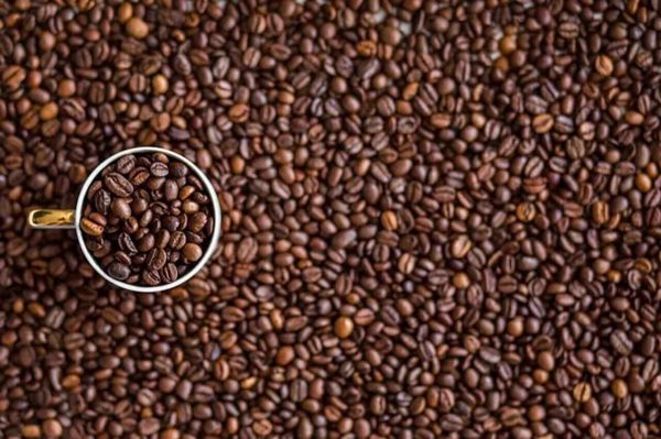 Giá cà phê hôm nay 26/8:  Quay đầu giảm