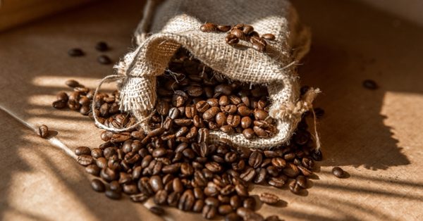 Giá cà phê hôm nay 9/9: Arabica thấp nhất 2 tháng, Robusta hồi phục